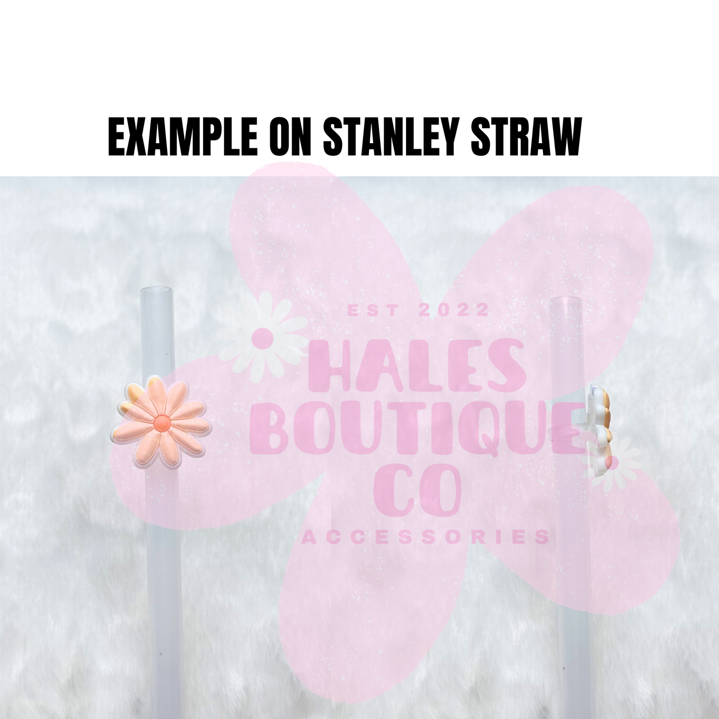 STRAW CHARMS-NOT STRAW TOPPERS